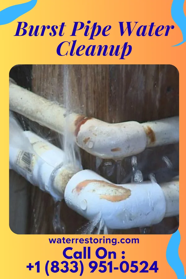 Burst Pipe Water Cleanup in Brunswick, OH