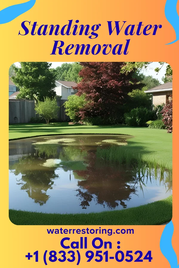 Standing Water Removal in Brunswick, OH